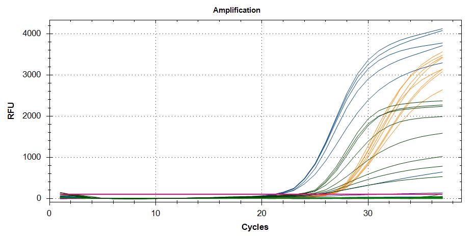 QPCR run