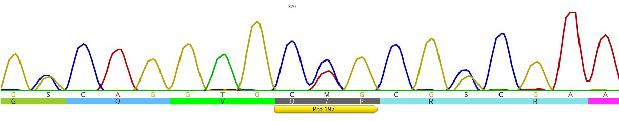 sequence