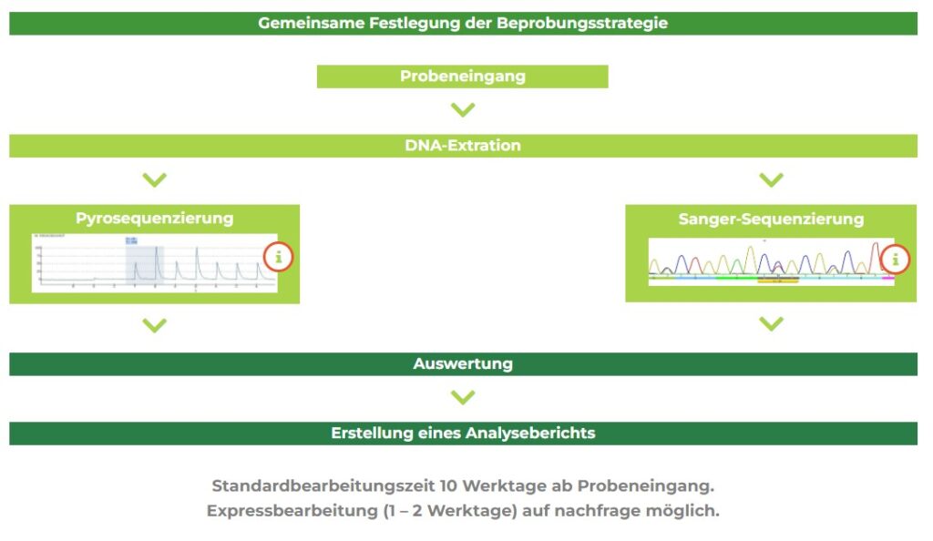 TSR_Analyse