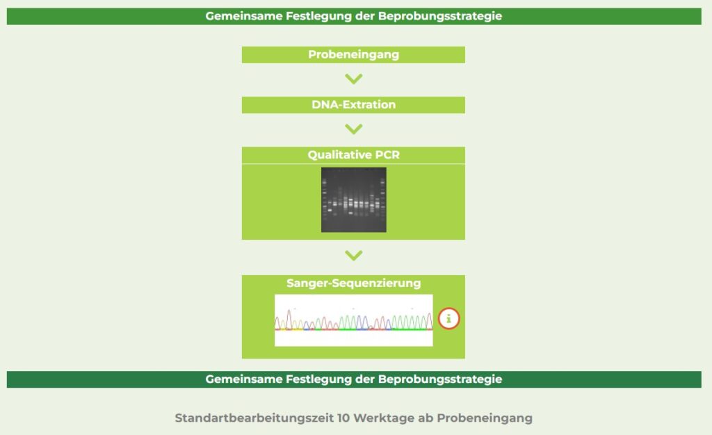 artbestimmung