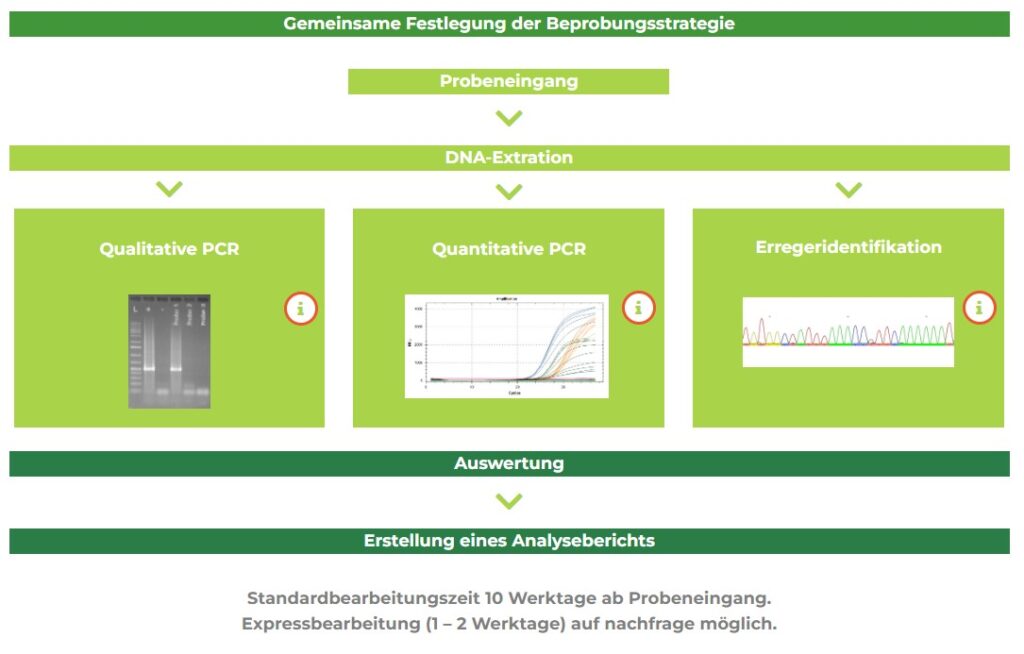 sampling process_phyto