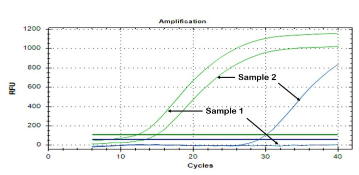 qPCR