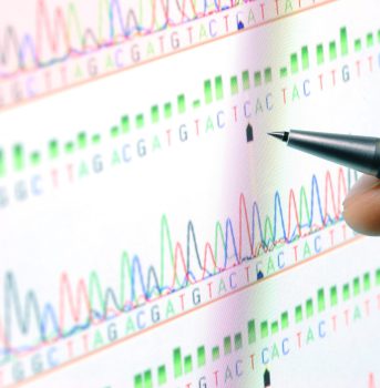 Analyzing Science Graph On Screen